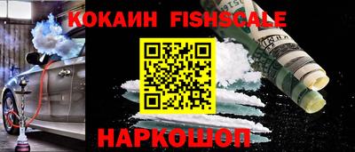 стаф Гусев