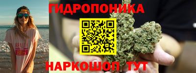 сатива Гай