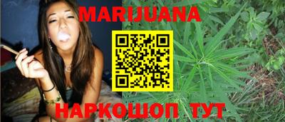 сатива Гатчина