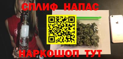 бошки Гагарин